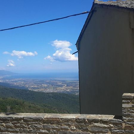 Gite La Fontaine Corse Loreto-di-Casinca Екстериор снимка