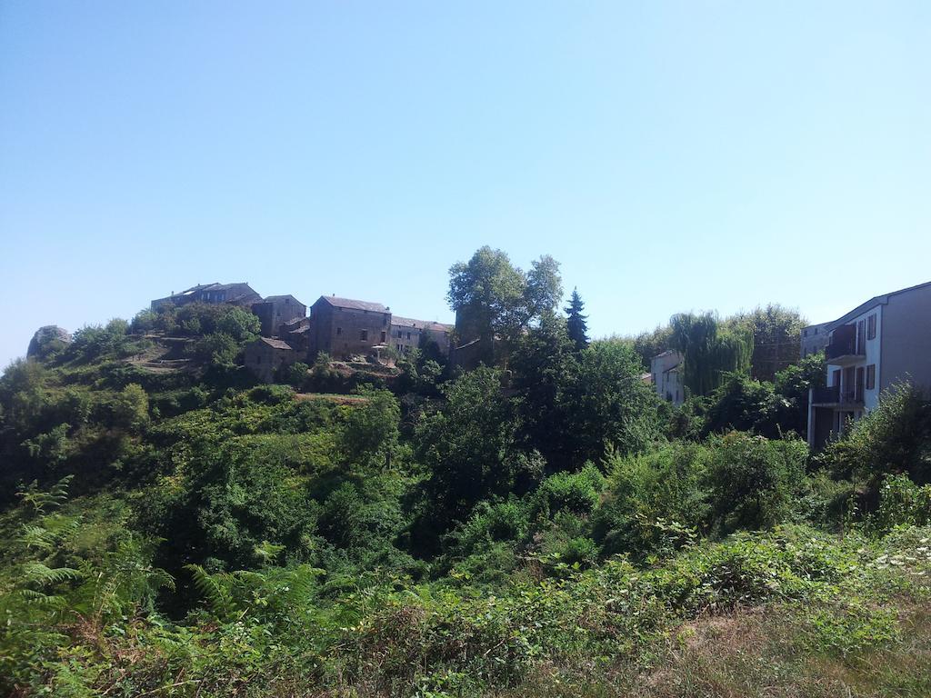 Gite La Fontaine Corse Loreto-di-Casinca Стая снимка