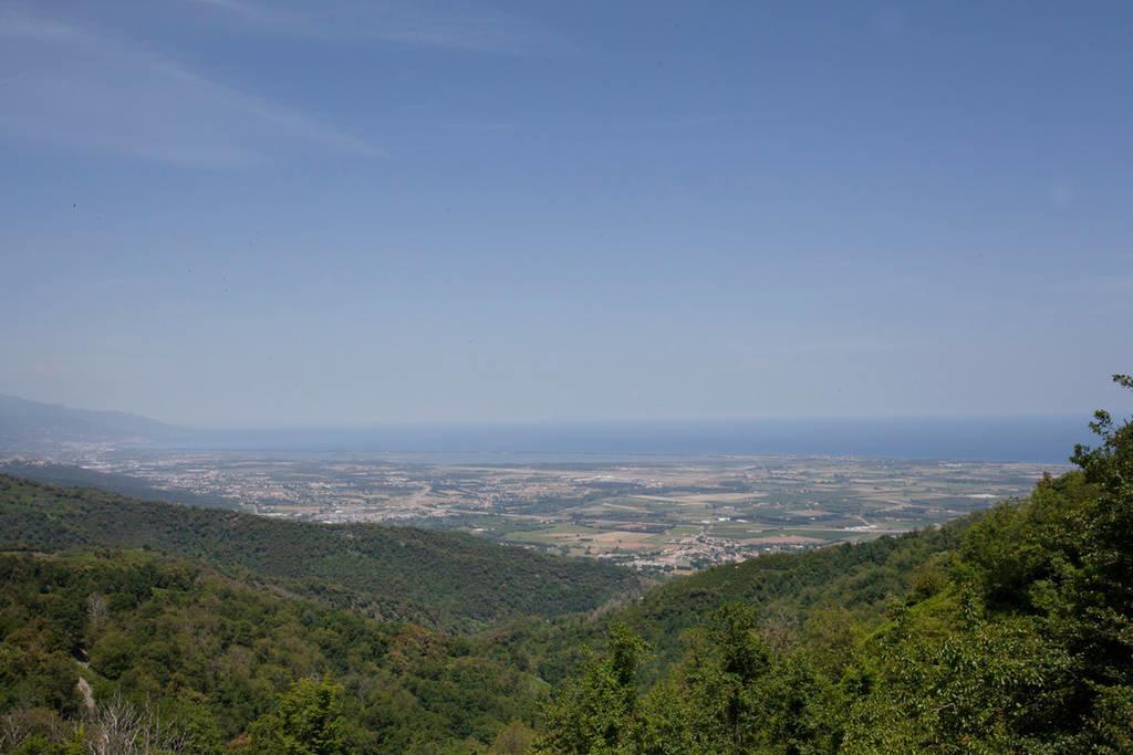 Gite La Fontaine Corse Loreto-di-Casinca Стая снимка
