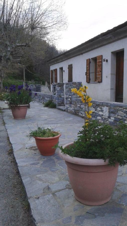 Gite La Fontaine Corse Loreto-di-Casinca Екстериор снимка