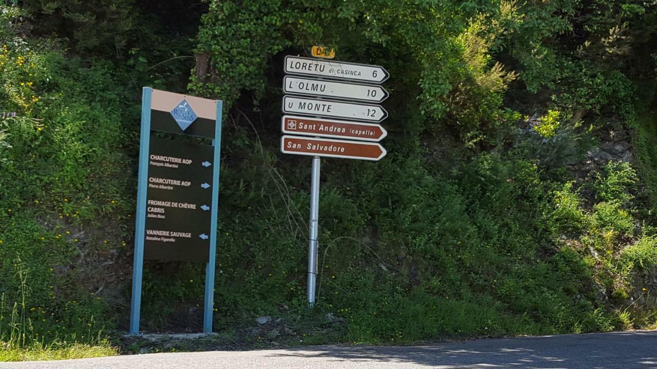 Gite La Fontaine Corse Loreto-di-Casinca Екстериор снимка
