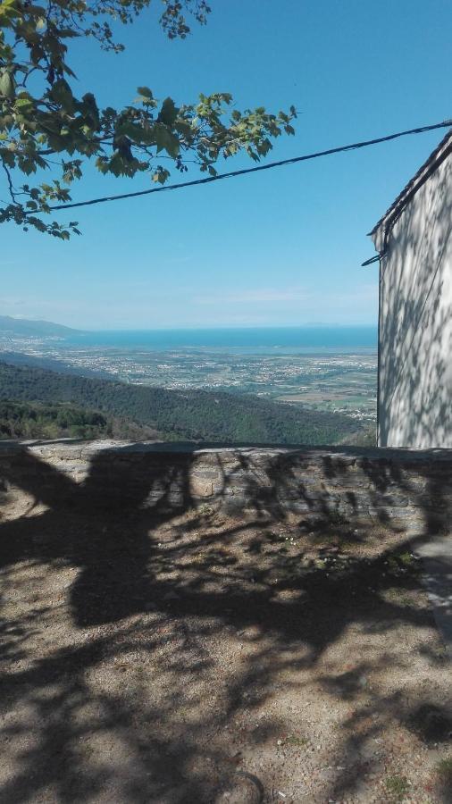 Gite La Fontaine Corse Loreto-di-Casinca Екстериор снимка